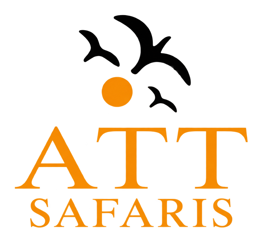ATT Safaris